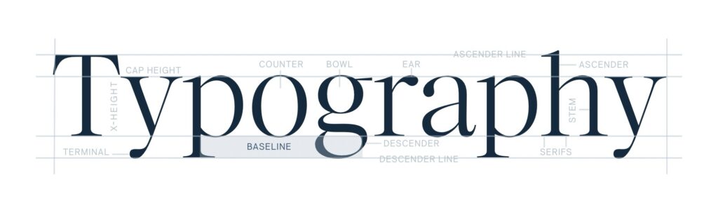 anatomy of typography