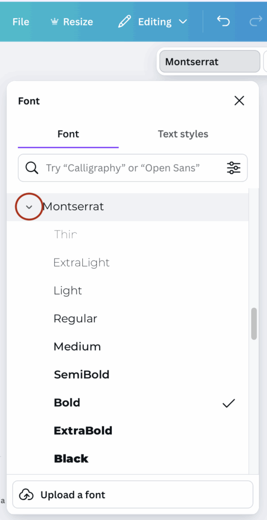 selecting different font weights in Canva for Canva logo design